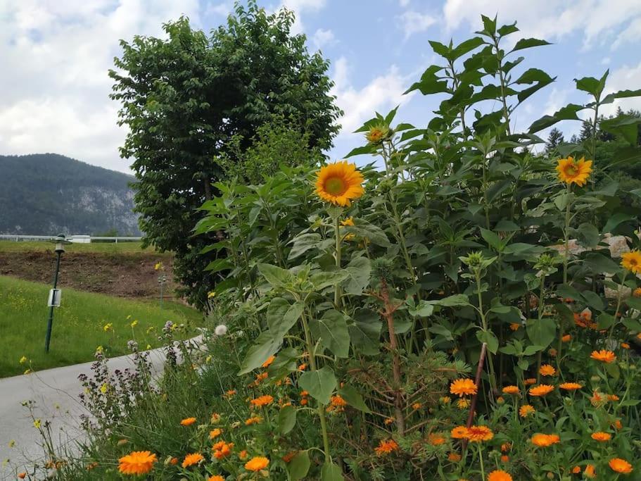 Upcycling Appartement Fischl - Nachhaltig Und Kreativ Wohnen Fuer Gross Und Klein Jenbach Esterno foto